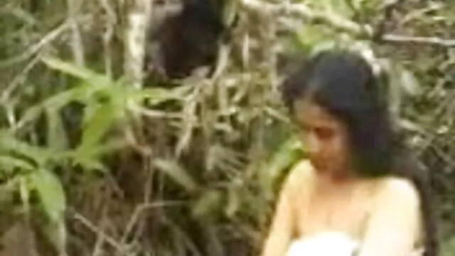யாங்கி மியா மேக்கே ஹம்ப்ஸ் மெக்சிகன் ஃபாக்ஸ் தலையணை