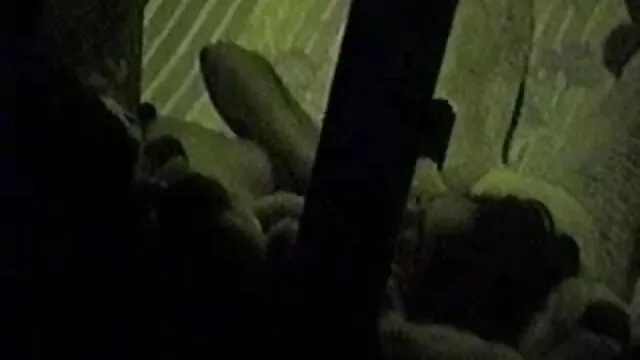 கறுப்பு சிறந்த செக்ஸ் செக்ஸ் அசாஃப்