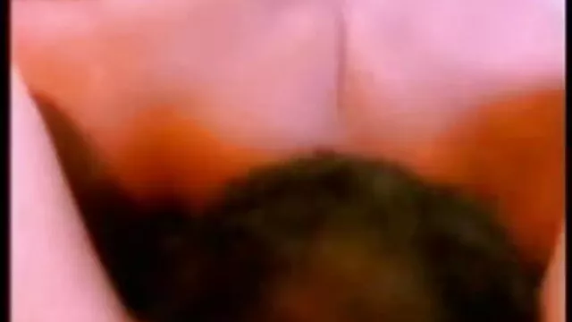 பிரேசர்கள் - டிரிசியா பூங்காக்கள் ஆபாச hd சிறந்த தரம் அவளது உதைக்கப்பட்டதைப் பெறுகின்றன