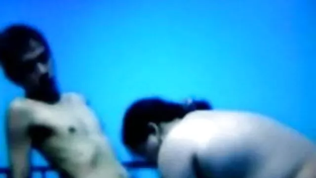 செக் கட்சிகள் மெக்சிகன் ஃபாக்ஸ் - செயலாளர்கள்