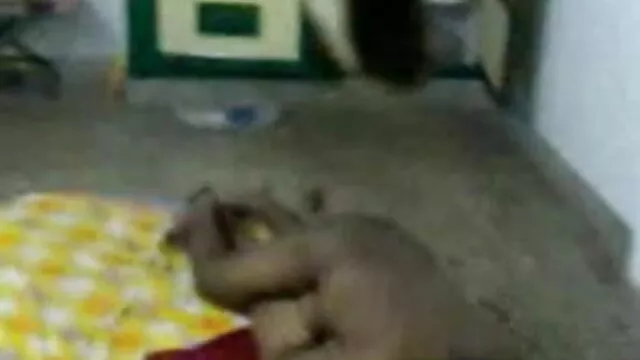 நர்ஸ் xxx, வீடியோ சிறந்த தரம் கலினா ரியூ கடுமையாக தாக்கினார்