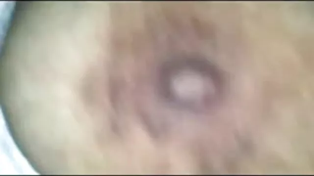 ஏடிவி சாகசம் மெக்சிகன் ஃபாக்ஸ்