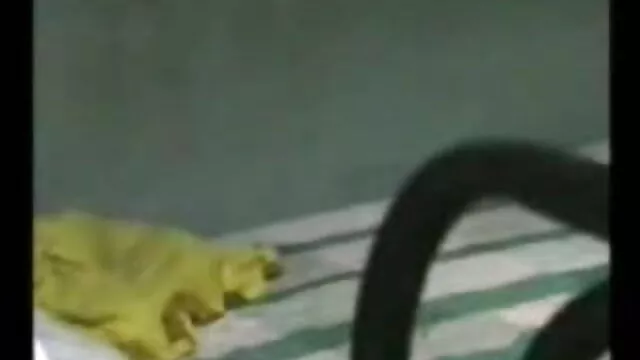 குழந்தைகள் - ரிலே ரீட் - சிறந்த ஆபாச தளத்தில் எப்போதும் மணிகள்