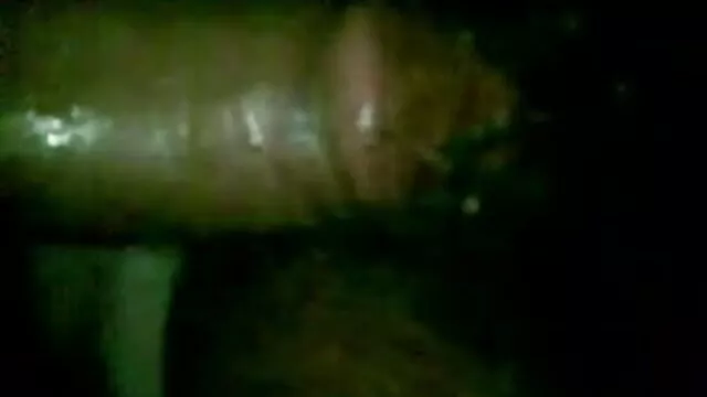 என் தோழி நல்ல காலை xnxx