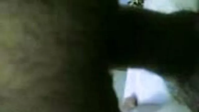 சேவல் சிறந்த hd உச்சரிப்பு மற்றும் புன்னகை