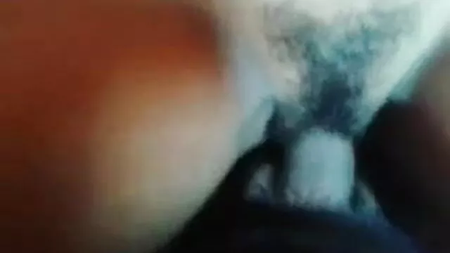 Demida மெக்சிகன் ஃபாக்ஸ்