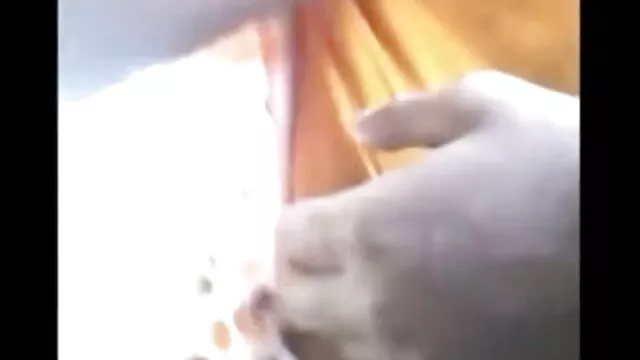 என் வாழ்க்கையில் சிறந்த புதிய ஆபாச வீடியோக்கள் புணர்ச்சி