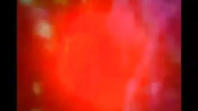 நாடின் சிறந்த கார்ட்டூன் ஆபாச முனிவர்