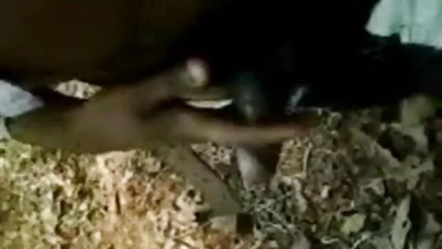 ஆசிய பணிப்பெண் ஆசிய ஆபாச தளங்கள் லின் பெரும் சுமை