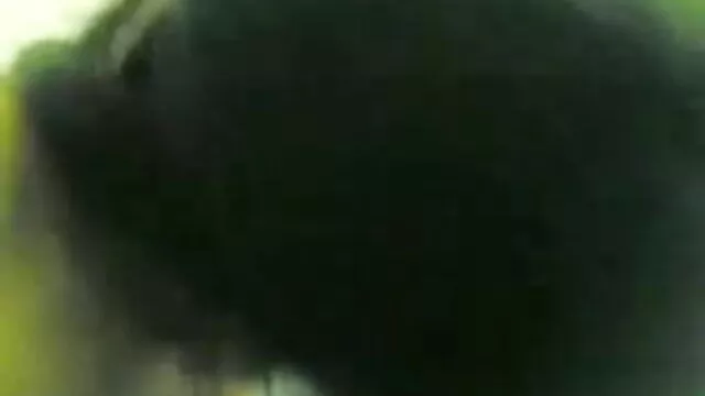 பிரிஜிட் தமிழ் சிறந்த செக்ஸ் பாய், லில்லி லவ்
