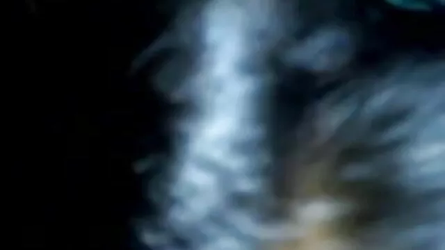 பிபி இலவச பாதுகாப்பான ஆபாச