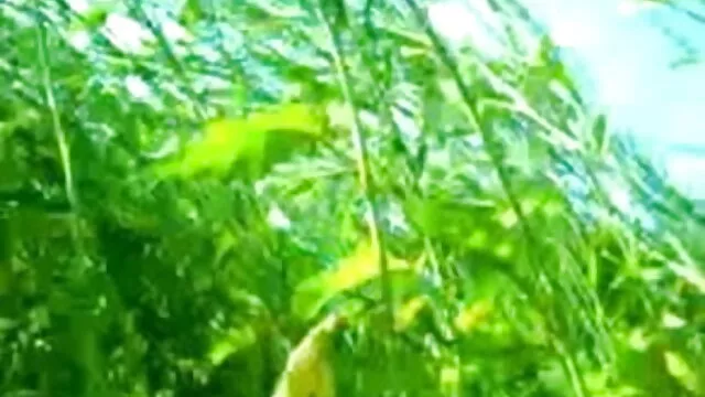 மெக்சிகன் அமெச்சூர் ஹோட்டல் வயது முதிர்ந்த ஆபாச தளங்கள் செக்ஸ்