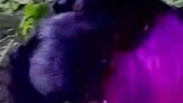 நம்பமுடியாத புண்டை ஒரு பெரிய கவர்ச்சி வீடியோ உயர் தரம் டிக் விரும்புகிறது
