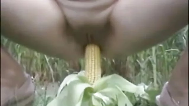 டி.வஸ்யா சிறந்த அனிமேஷன் ஆபாச விளையாடுவார்
