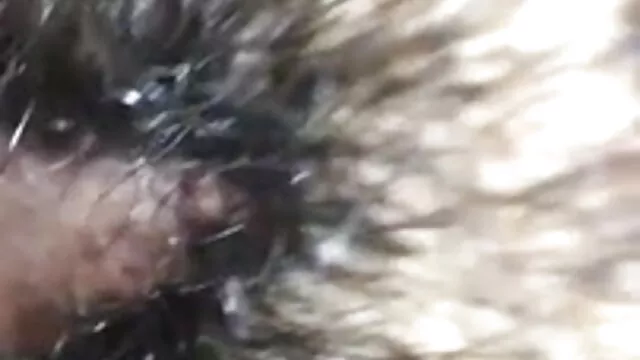 எலன் சிறந்த புண்டை ஆபாச செயின்ட் - பேபி வழுக்கை மட்டும் அனல்