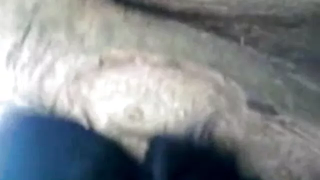 தீவிர ஹேரி நெகிழ்வான டீன் சிறந்த நண்பர் xxx பயிற்சி