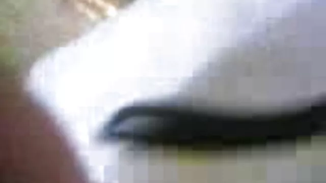 பள்ளி மாணவர் சபிஹா xnxx சிறந்த அக்டோபர் 2018 செக்ஸ் வீடியோ